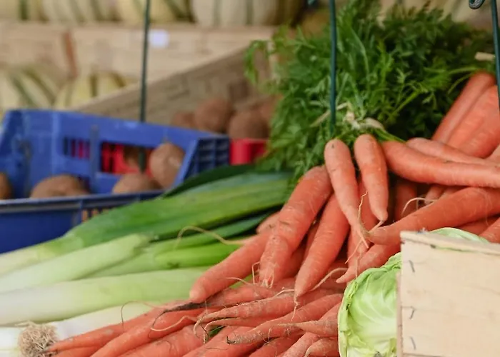 Lejlighed Beautiful In A Castle In *